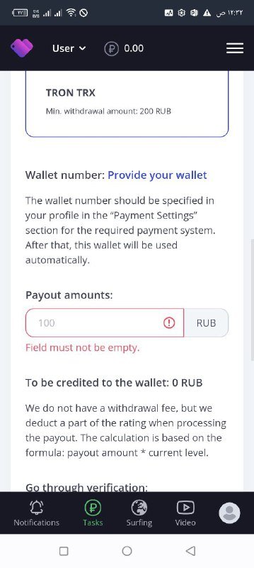 Profit from video views 4